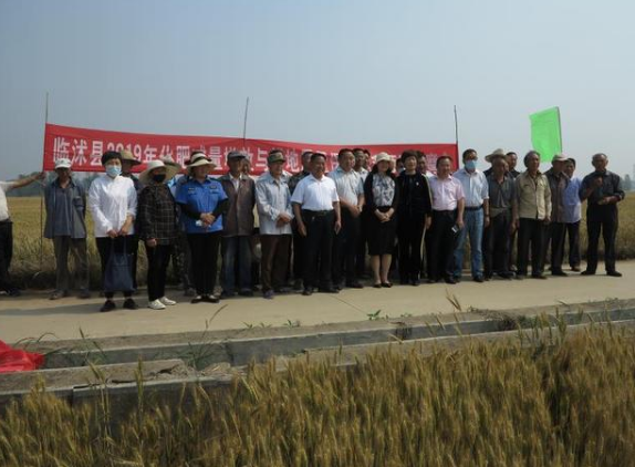 山東臨沭縣召開(kāi)小麥減肥增效暨有機(jī)肥替代化肥示范現(xiàn)場(chǎng)觀摩會(huì)